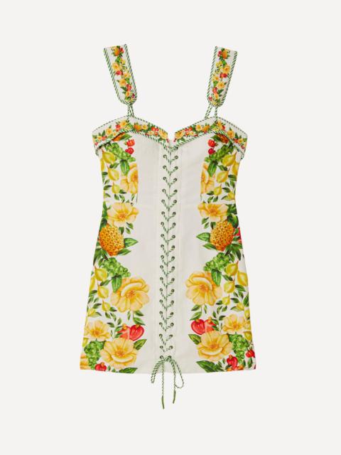 FARM RIO Off-White Picnic Flowers Mini Dress