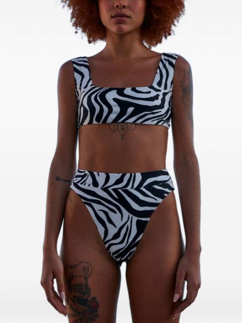 HAIGHT Beta zebra-print bikini bottoms