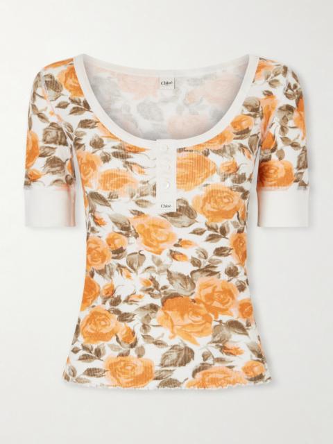 Chloé Floral-print Ribbed Stretch-cotton Jersey T-shirt