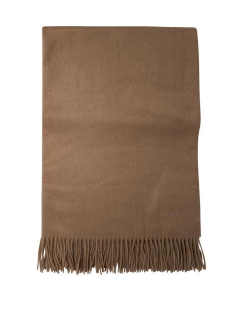 Max Mara Cashmere Stole With Embroidery Scarves Brown