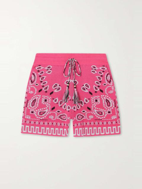 Alanui Bandana cotton-blend jacquard shorts