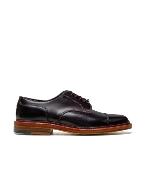 Alden Straight Tip Blucher Colour 8 Cordovan D1538