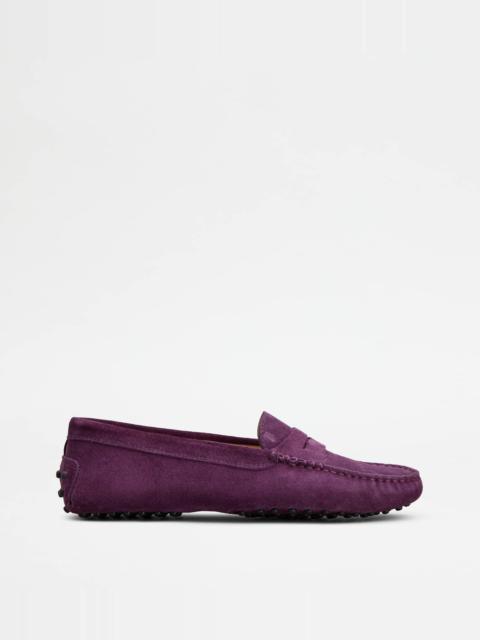 Tod's GOMMINO DRIVING SHOES IN SUEDE - VIOLET