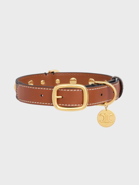 CELINE Large Medium Dog Collar in Triomphe Canvas and Calfskin
