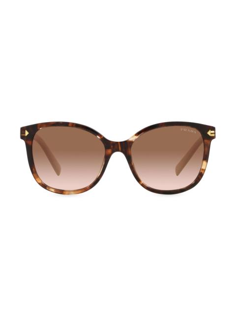 Prada Women's 53MM Round Sunglasses - Brown Tortoise