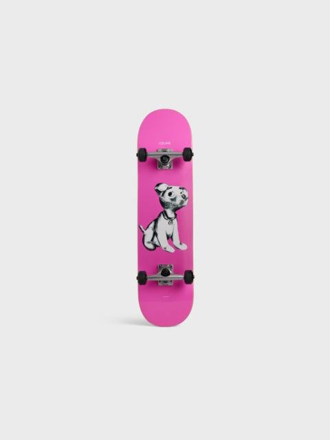 CELINE SKATEBOARD ARTIST PRINT