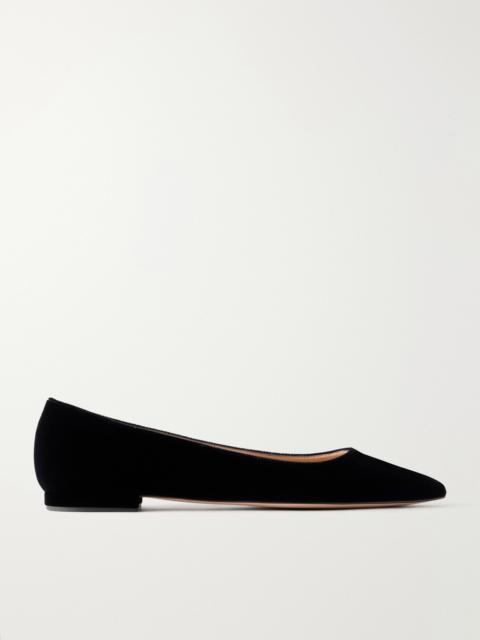 Gianvito Rossi Gianvito Velvet Ballet Flats