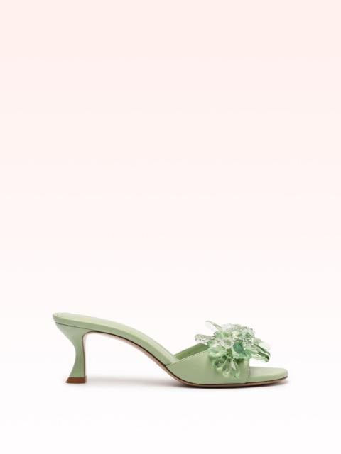 ALEXANDRE BIRMAN SIERRA 60 RETRO GREEN