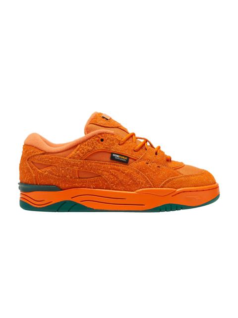 Anwar Carrots x 180 'Scavenger Hunt Pack - Rickie Orange'