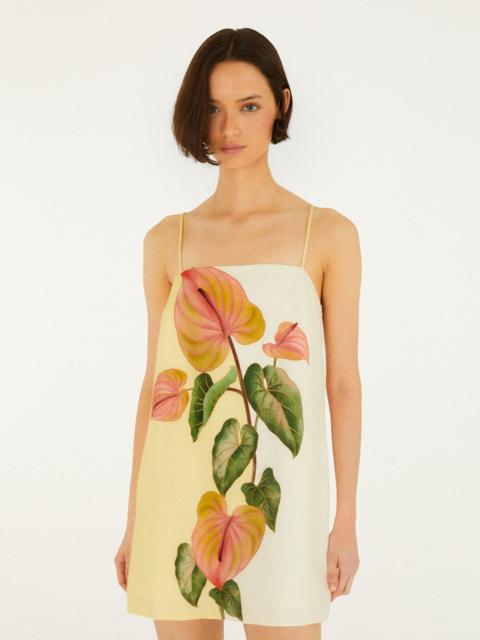 FARM RIO Golden Yellow Anthurium Square Neck Mini Dress