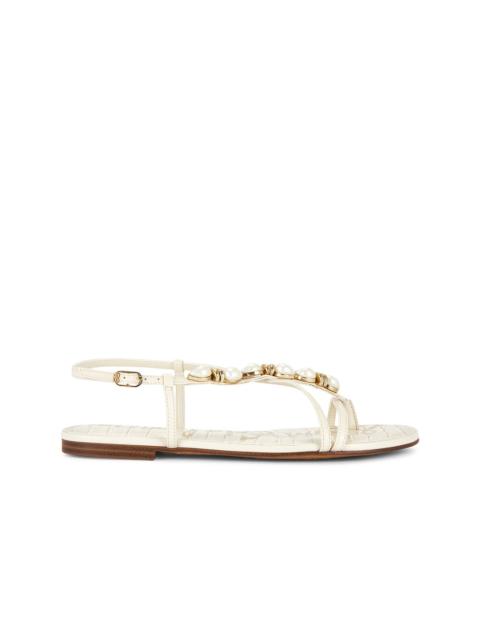 Sam Edelman Calla 2 Sandal