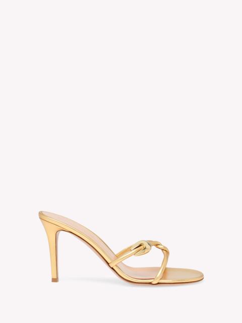 Gianvito Rossi JUNGLE MAMBA MULE