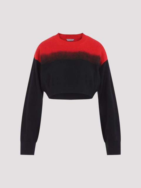 BALENCIAGA Balenciaga Crewneck Sweater