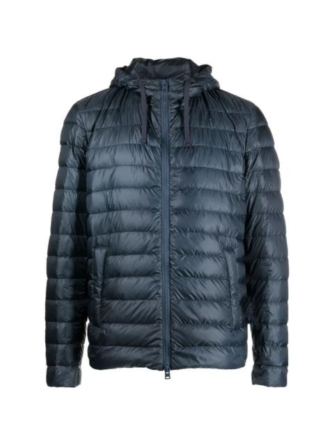 Globe hooded padded jacket