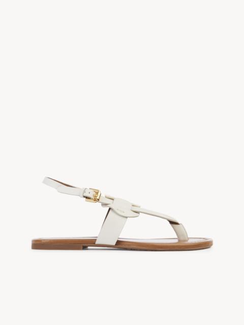 See by Chloé CHANY FLAT SANDAL