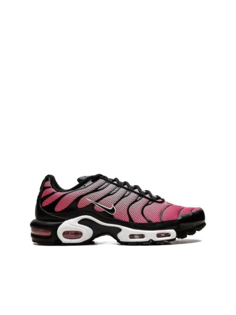 Nike Air Max Plus "All Day" sneakers