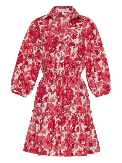 Cara Cara Robin dress