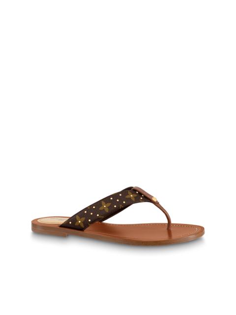 Louis Vuitton Sunny Flat Thong
