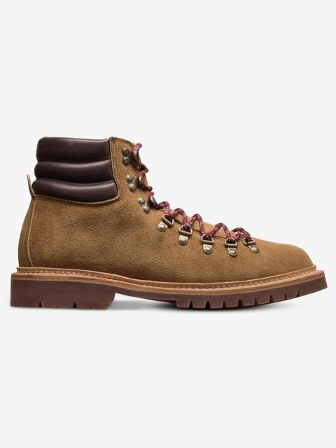 ALLEN EDMONDS Telluride Weather-ready Hiker Boot