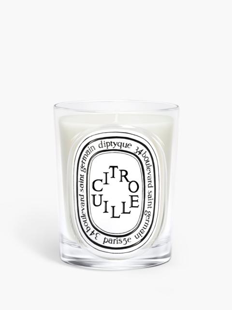 Diptyque Citrouille (Pumpkin) - Classic candle