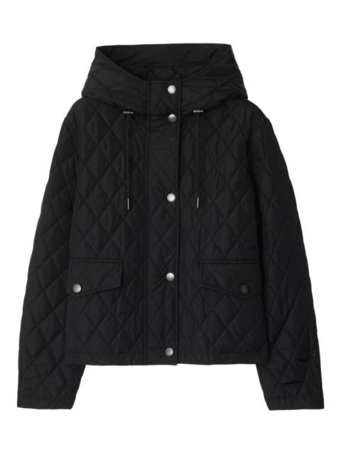 Burberry quilted hooded jacket