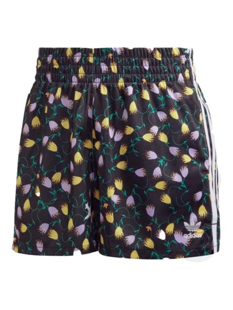 adidas allover print shorts