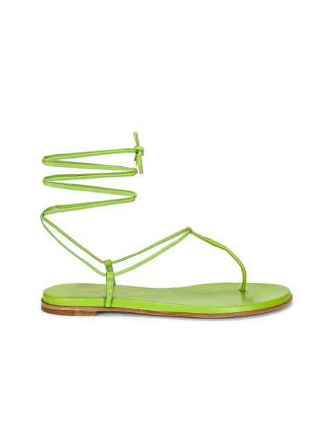 Gianvito Rossi Gwyneth Sandals