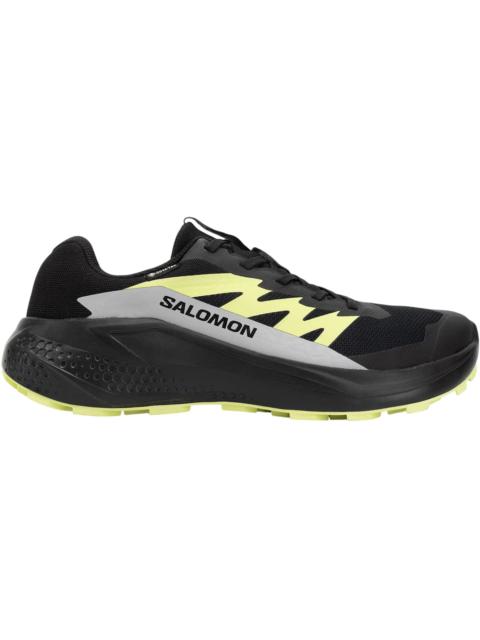 SALOMON Salomon Alphaglide Gore-Tex Black Alloy Sharp Green
