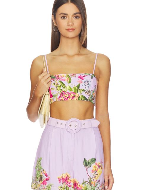 HEMANT & NANDITA Bandeau Top