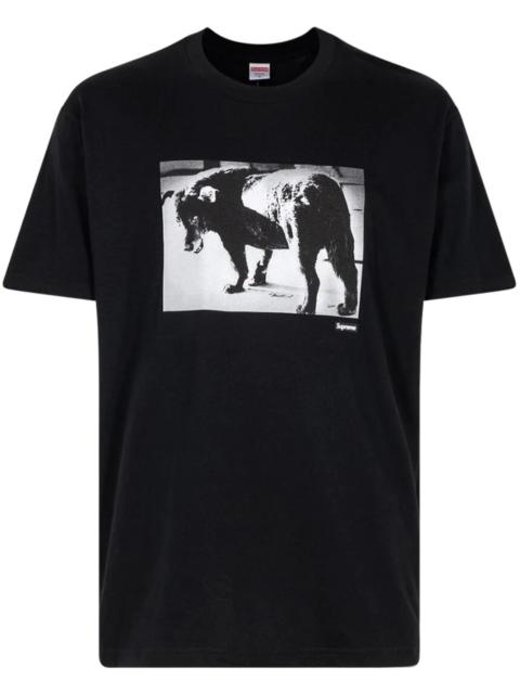 x Daido Moriyama Dog T-shirt