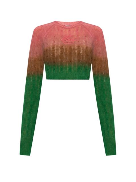 Etro Wool sweater