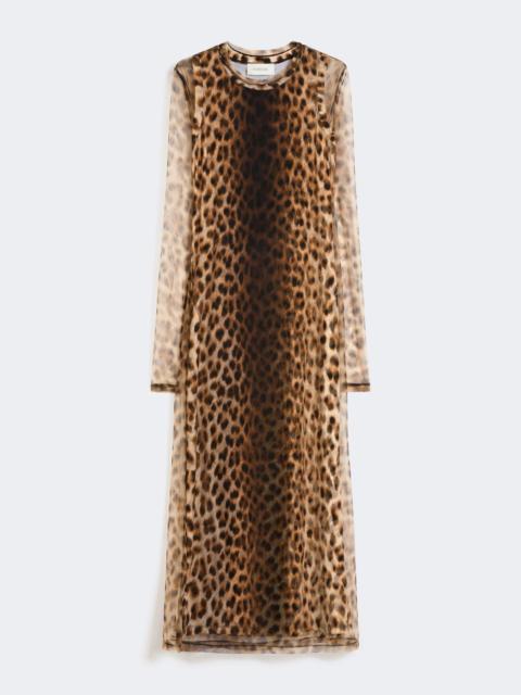Sportmax ESORDIO Fitted tulle jersey dress - BEIGE SHADED