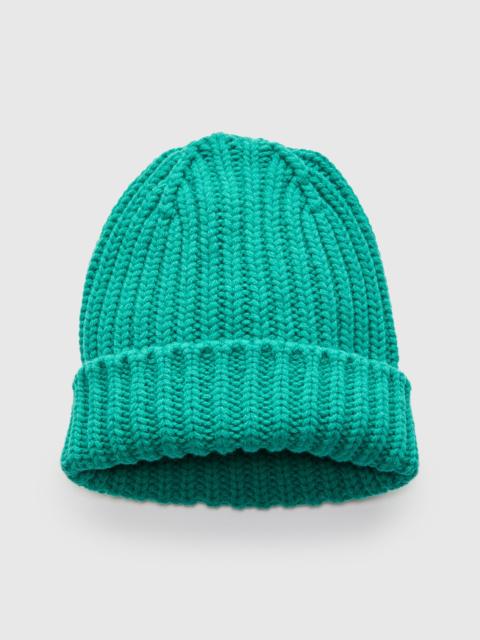HOWLIN' "Brain Freezer" Wool Beanie in Strange Green