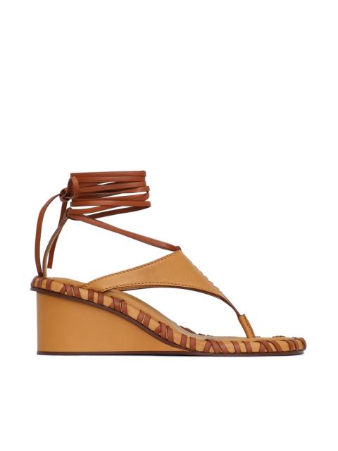 Zimmermann ALCHEMY WEDGE 60