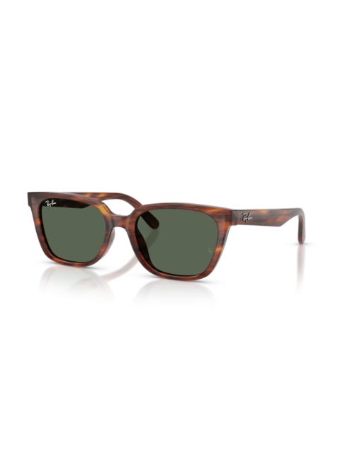 Ray-Ban RB2243D