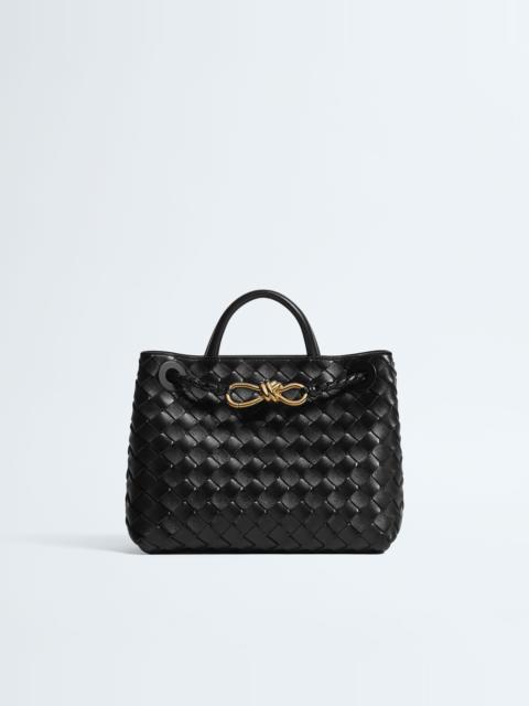Bottega Veneta Small Andiamo