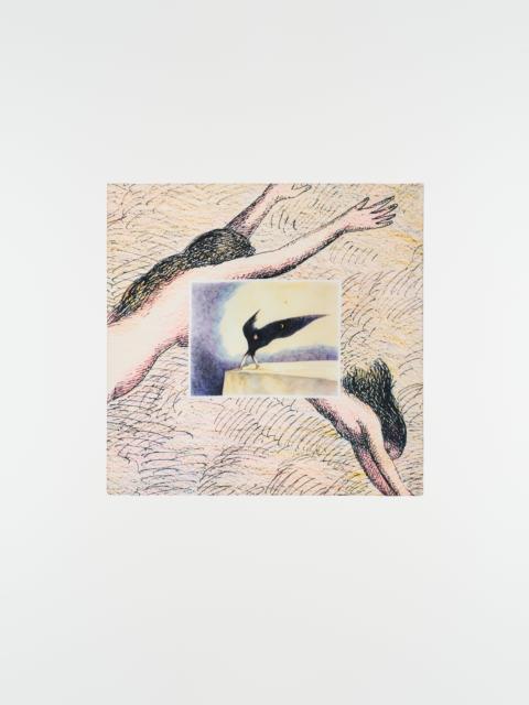 Lemaire SCARF TOPOR LA NUIT 1972