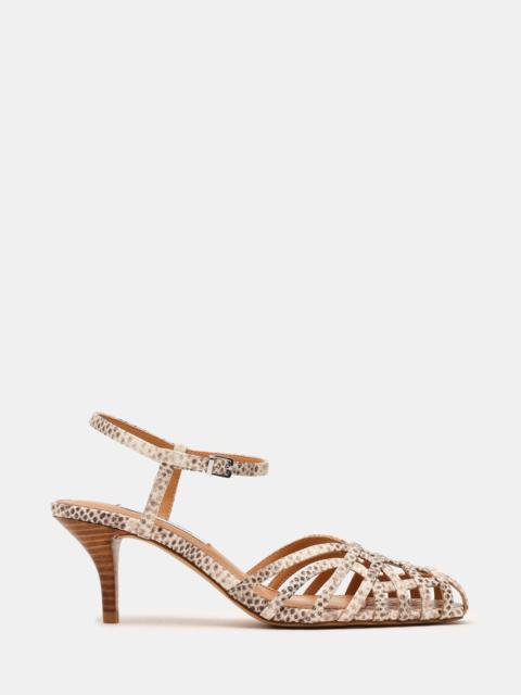 STEVE MADDEN EDIN SNAKE