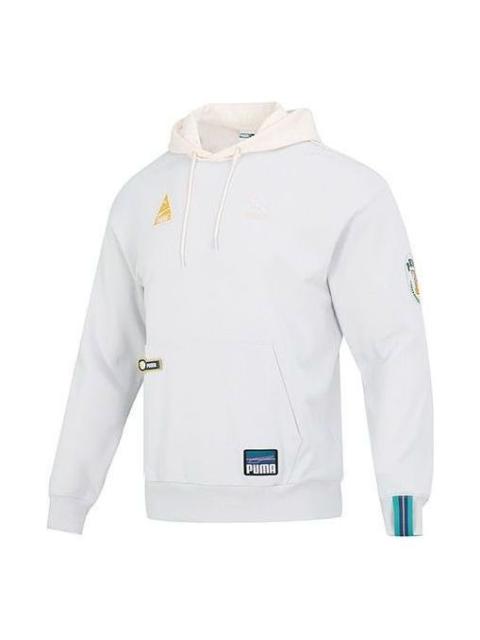PUMA PUMA Team Badge Team Badge Hoodie 'Grey' 677377-72