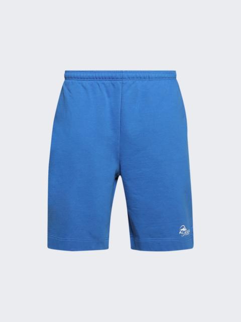 VETEMENTS Alaska Tourist Shorts Blue