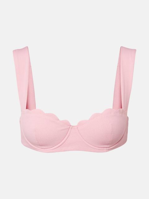 MARYSIA North bikini top