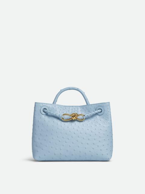 Bottega Veneta Small Andiamo