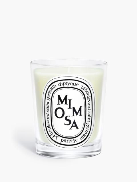 Diptyque Mimosa - Classic Candle