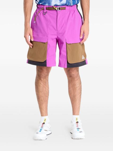 Nike Smith Summit cargo shorts