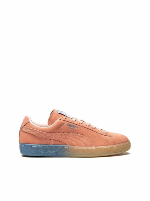 Suede Classic PD low-top sneakers