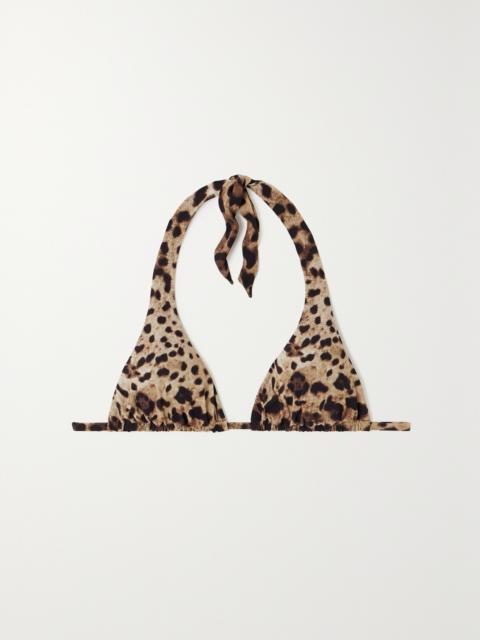 Dolce & Gabbana Leopard-print Halterneck Bikini Top