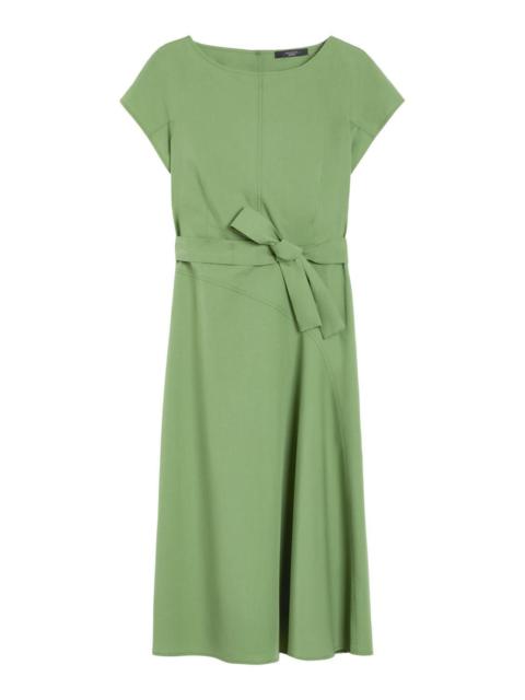 Max Mara Magma Dress