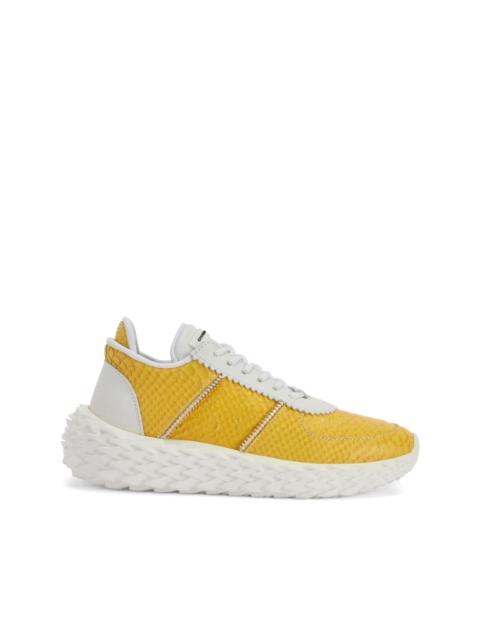 Giuseppe Zanotti Urchin sneakers