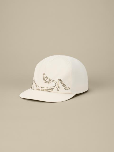 Arc'teryx Silex Cap