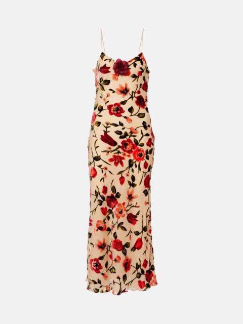 RODARTE Sheer floral velvet devoré slip dress